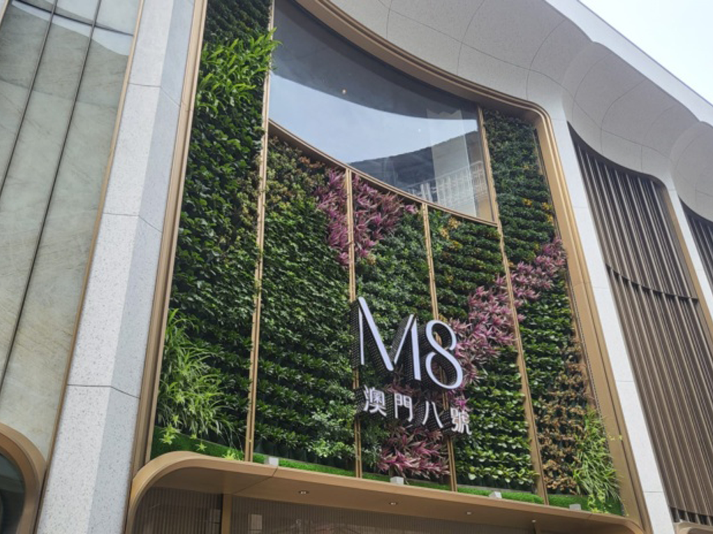 M8_real_image2